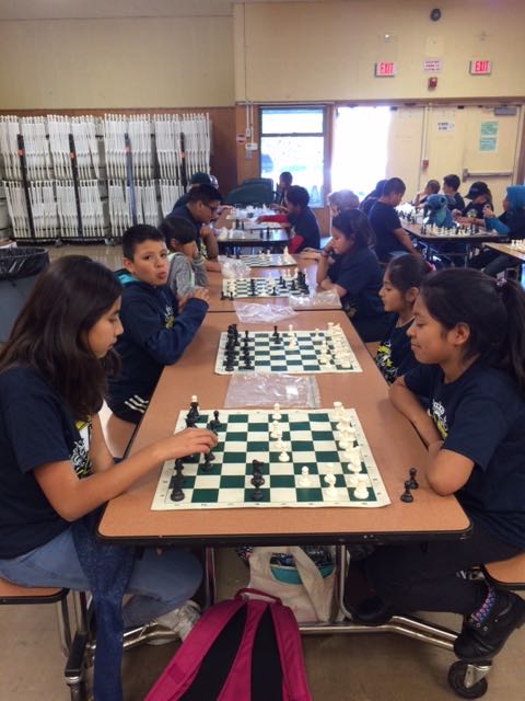 Chess Club – Rio School District